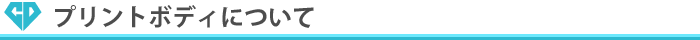 プリントボディについて