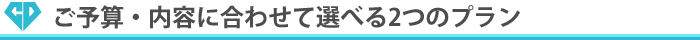 ご予算・内容に合わせて選べる2つのプラン